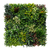 Декоративное покрытие C greenery 100x100 м 18184
