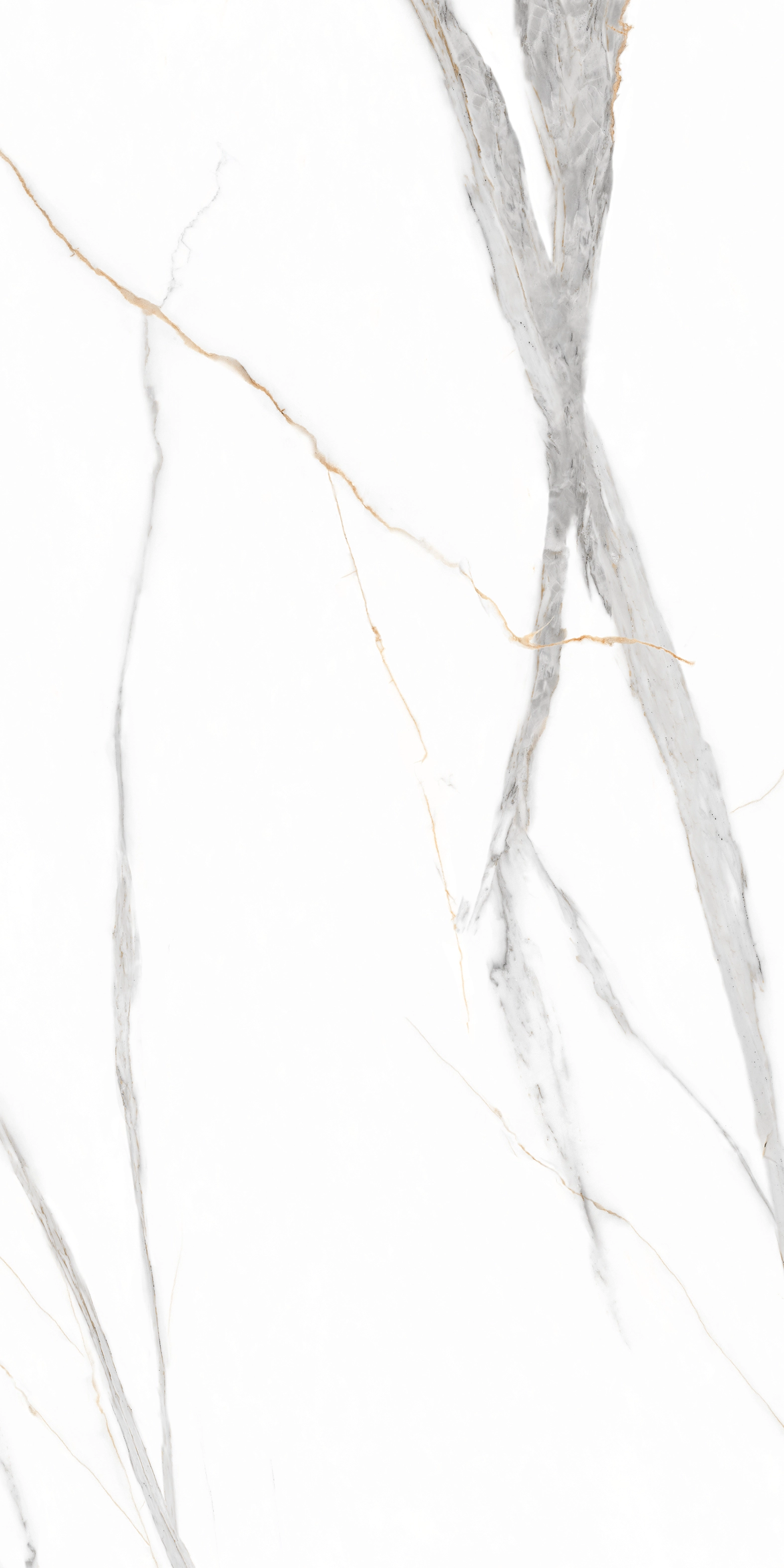 Gresie Road Carving 60x120 White