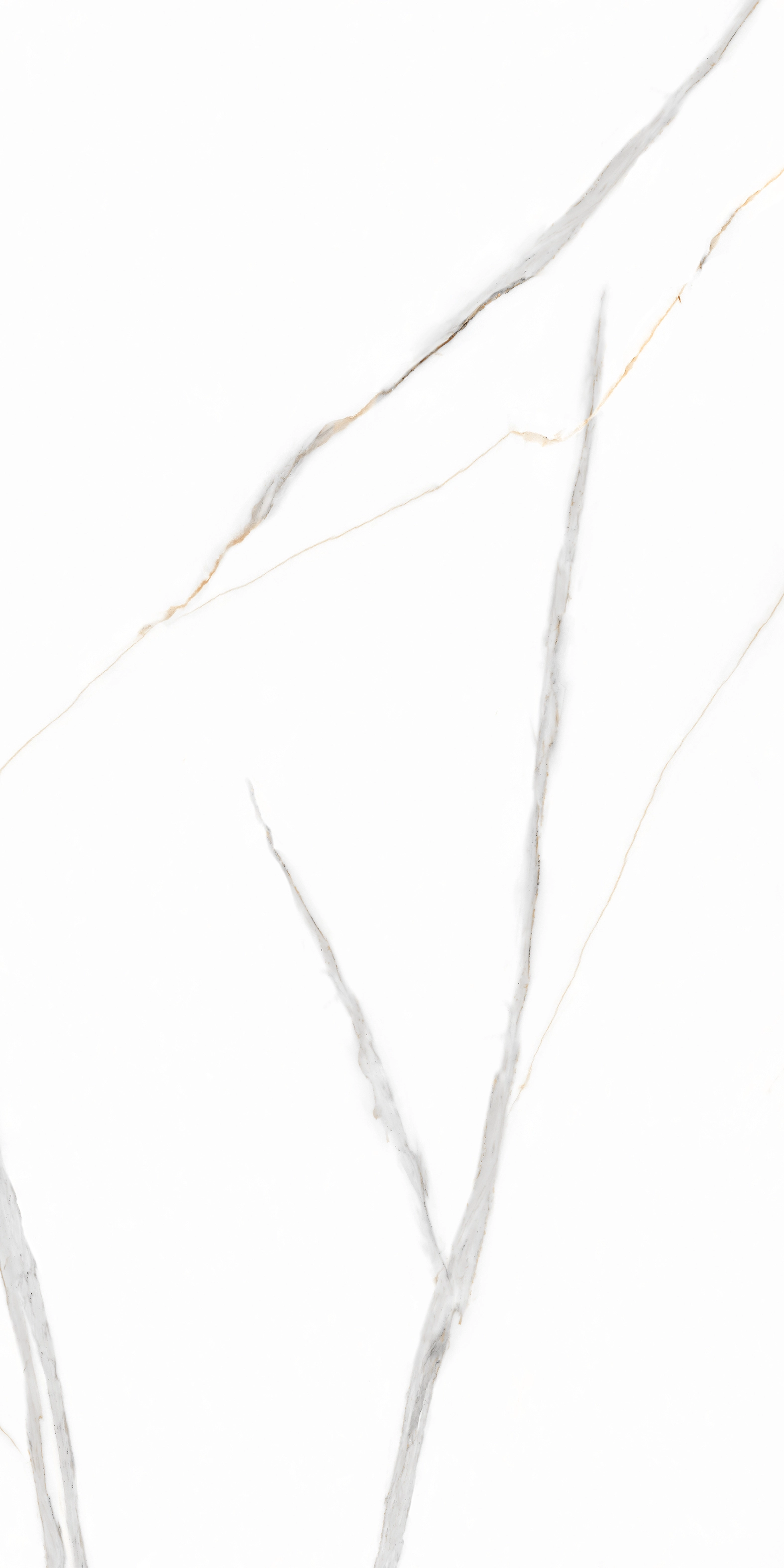 Gresie Road Carving 60x120 White