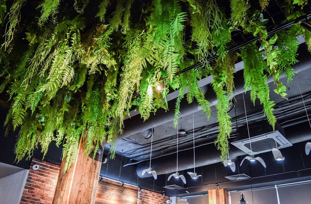  Acoperire decorativă HP022 50 cm  