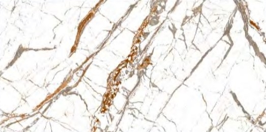 Gresie Clonic 8174 30*60 Todoceram white