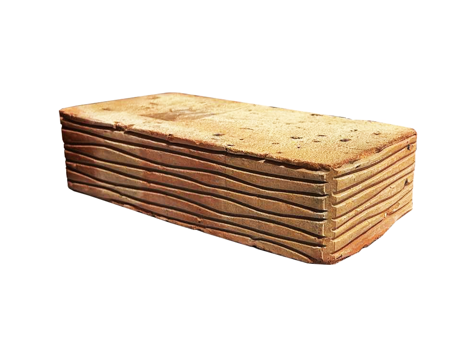 Кирпич полнотелый с узором 205х100х50