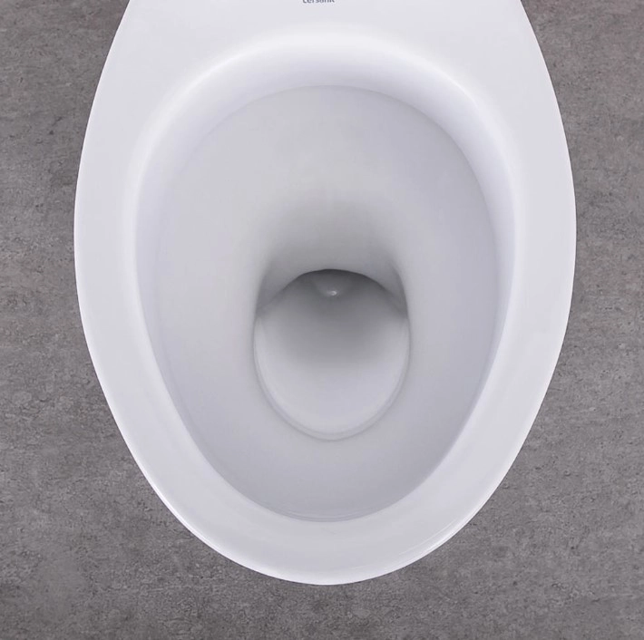 Напольный унитаз Cersanit Iva New 110203 