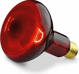 Инфракрасная лампа IKZK-250 Wt 03742/4432 