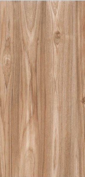 Gresie Acero Wood Ocre 60*120 Todoceram