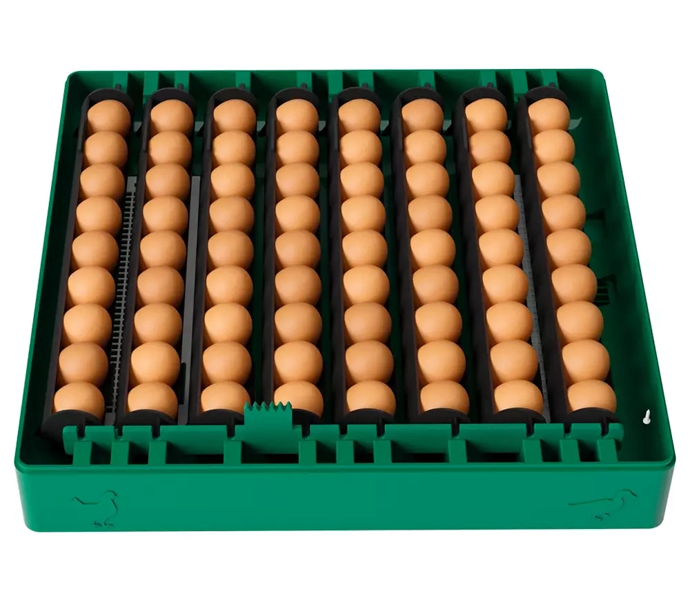 Incubator pentru ouă Des Champs Eco Profi C-72