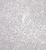 Декоративная краска Fox Diamento 1Л 0005 Venus