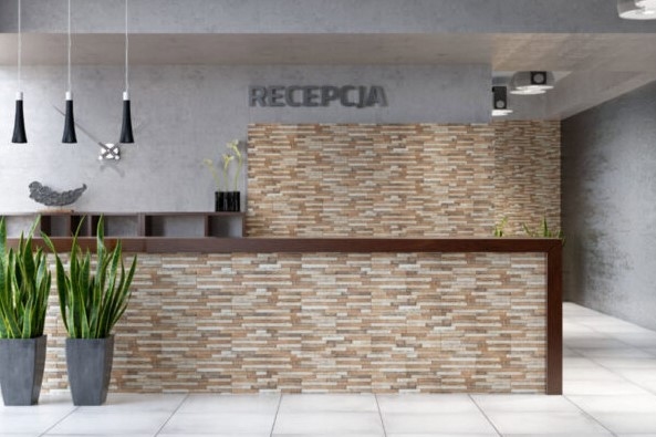 Klinker Stone Kallio 450*150*9 Terra