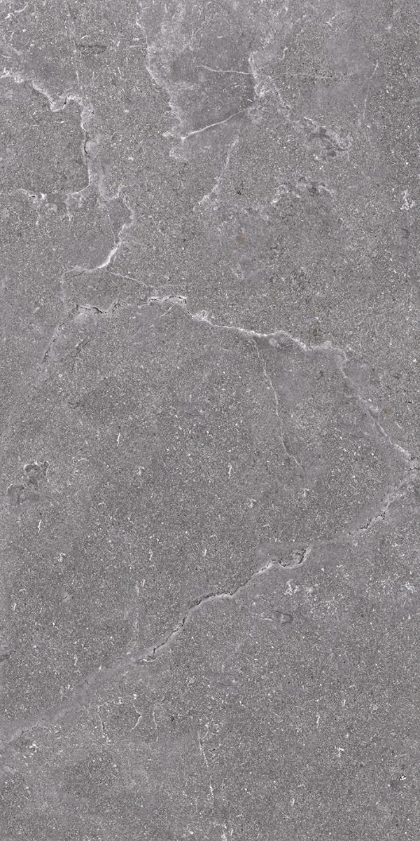 Gresie Salus 60x120 QUA grey 