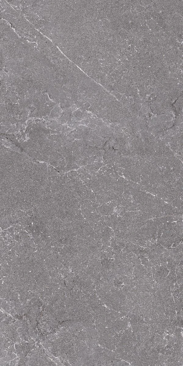 Gresie Salus 60x120 QUA grey 