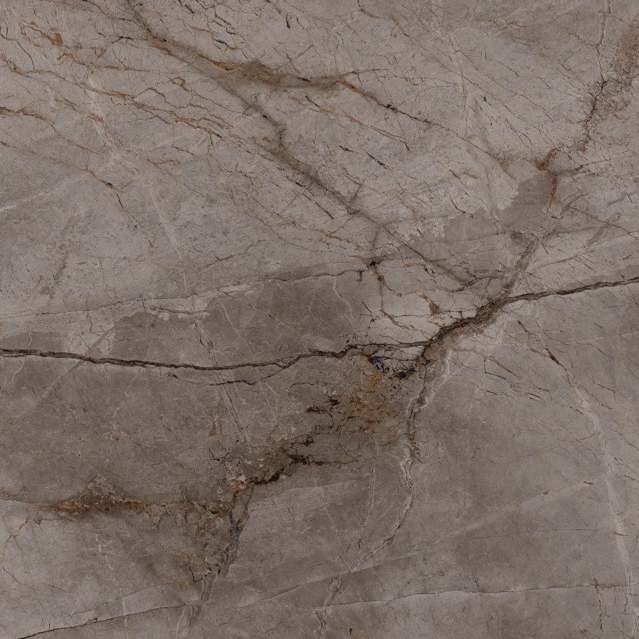 Gresie Bien Port. Root Ash 100x100