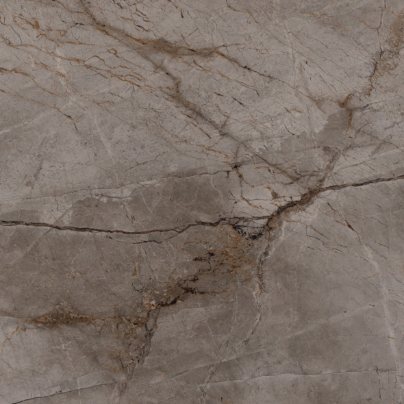 Gresie Bien Port. Root Ash 100x100 