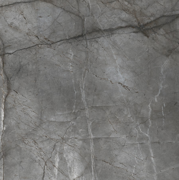 Gresie Root Silver 100*100 